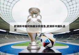 欧洲杯中国对韩国分析报告,欧洲杯中国队战况