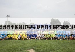 欧洲杯中国能打吗吗,欧洲杯中国不能参加吗